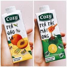 Trà Cozy vị Tắc Mật Ong hộp giấy 225ml (24H/T)